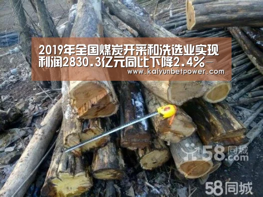 2019年全国煤炭开采和洗选业实现利润2830.3亿元同比下降2.4%-开运真人(图3) 开运体育