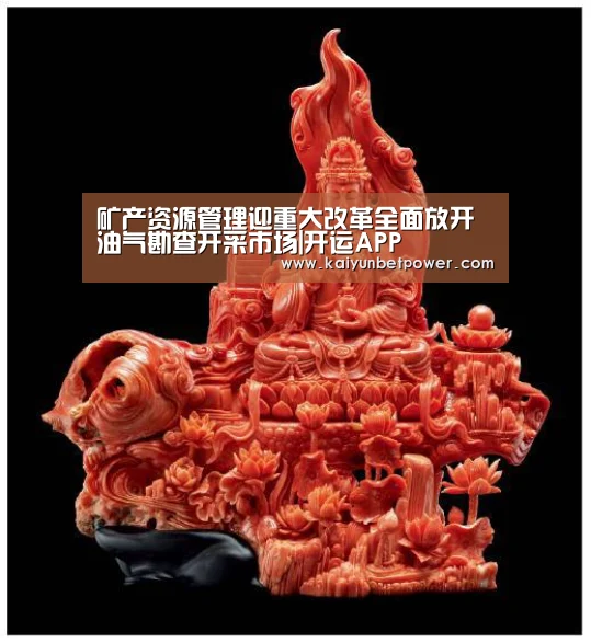 矿产资源管理迎重大改革全面放开油气勘查开采市场|开运APP(图4) 开运真人