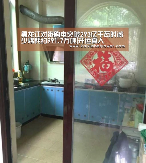 黑龙江对俄购电突破293亿千瓦时减少煤耗约991.7万吨|开运真人(图4) 开运娱乐