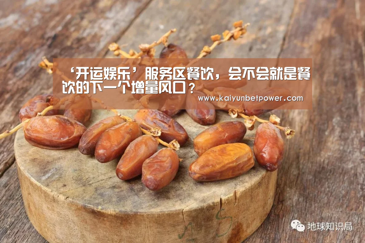 ‘开运娱乐’服务区餐饮,会不会就是餐饮的下一个增量风口?(图1) 开运真人