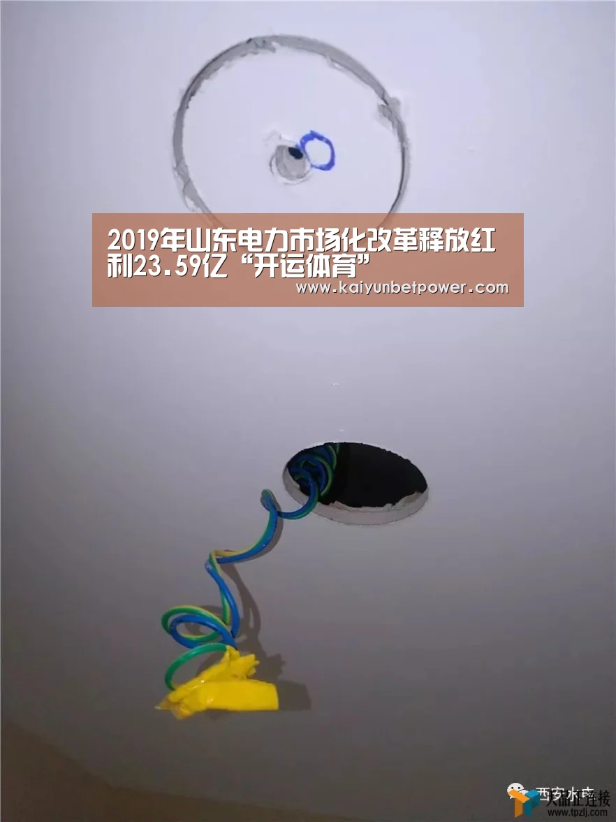 2019年山东电力市场化改革释放红利23.59亿“开运体育”(图1) 开运娱乐