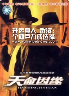 开运真人_武汉:个体户九成选择餐饮业(图2) 开运真人