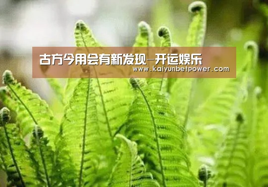 古方今用会有新发现-开运娱乐(图2) 开运APP