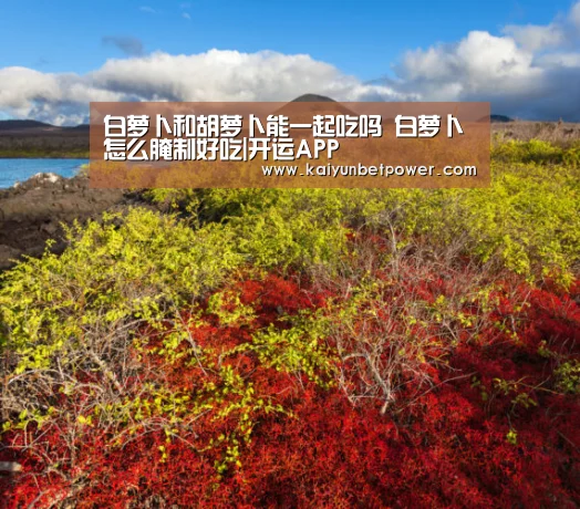 开运体育