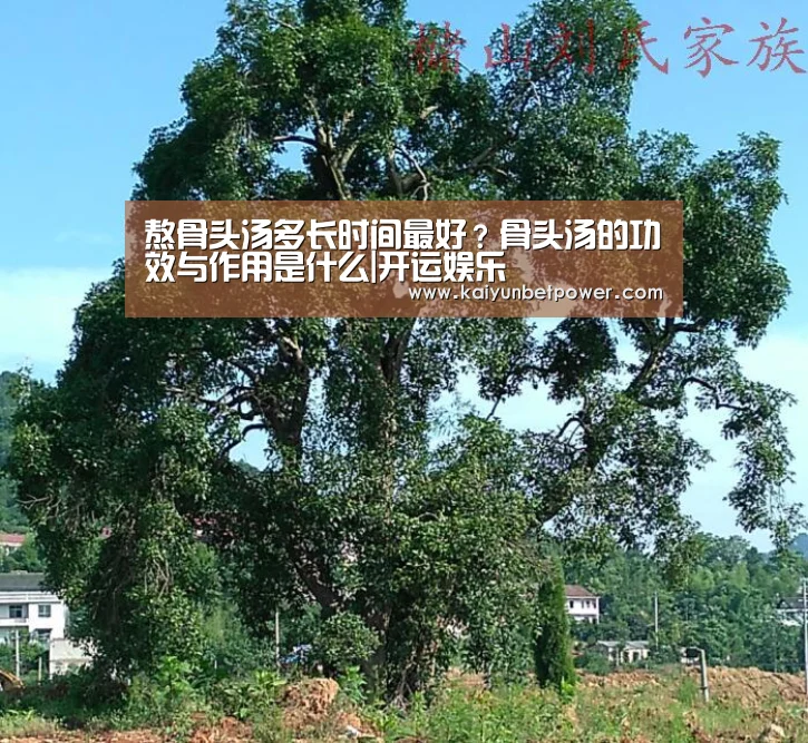熬骨头汤多长时间最好?骨头汤的功效与作用是什么|开运娱乐(图2) 开运APP