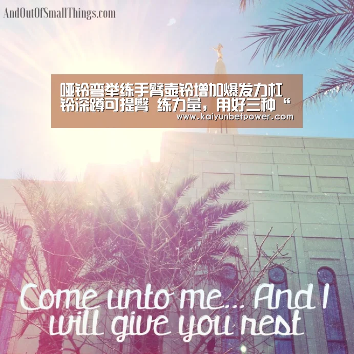 开运真人